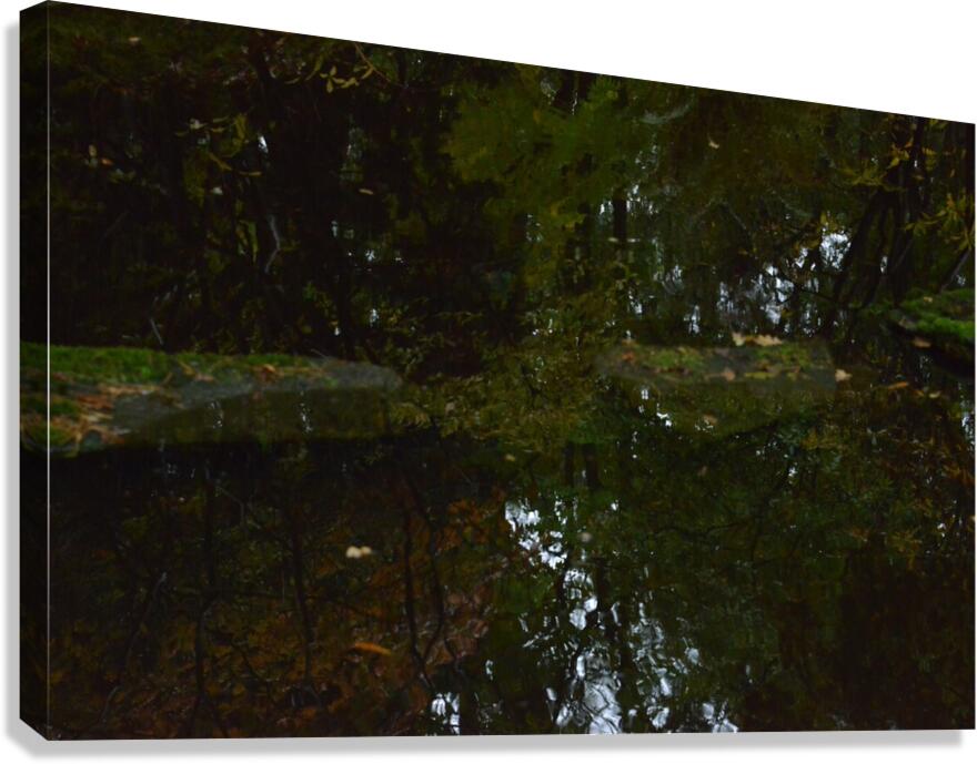 Untitled  3 Canvas Print
