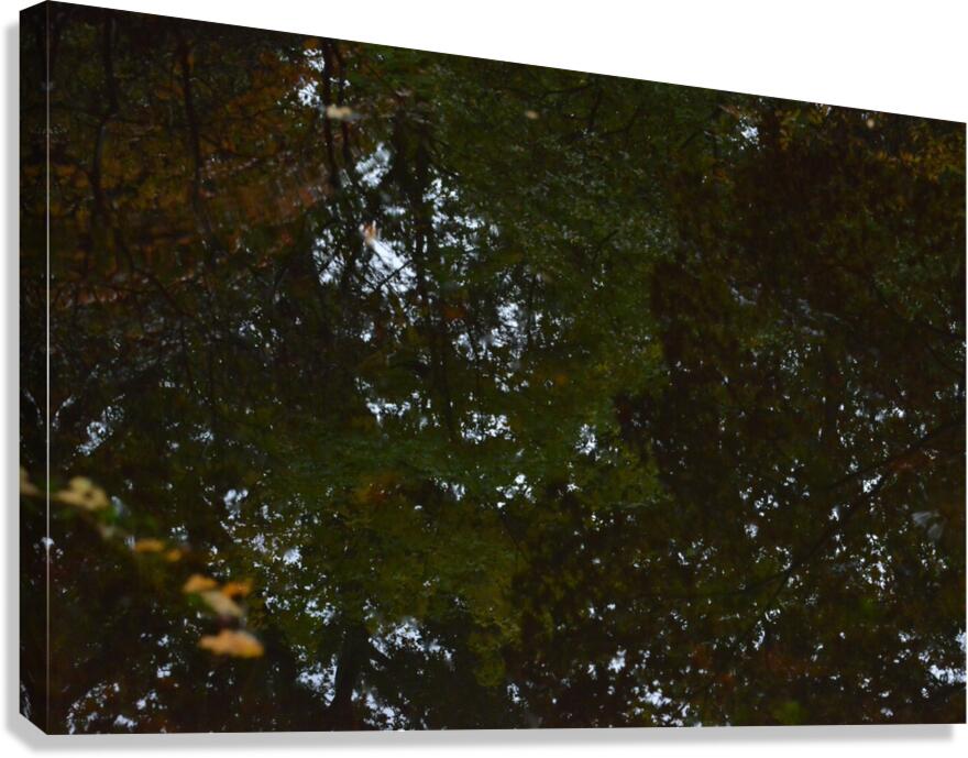Untitled  5 Canvas Print