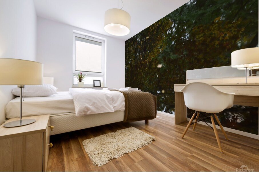 Untitled  6 Mural print