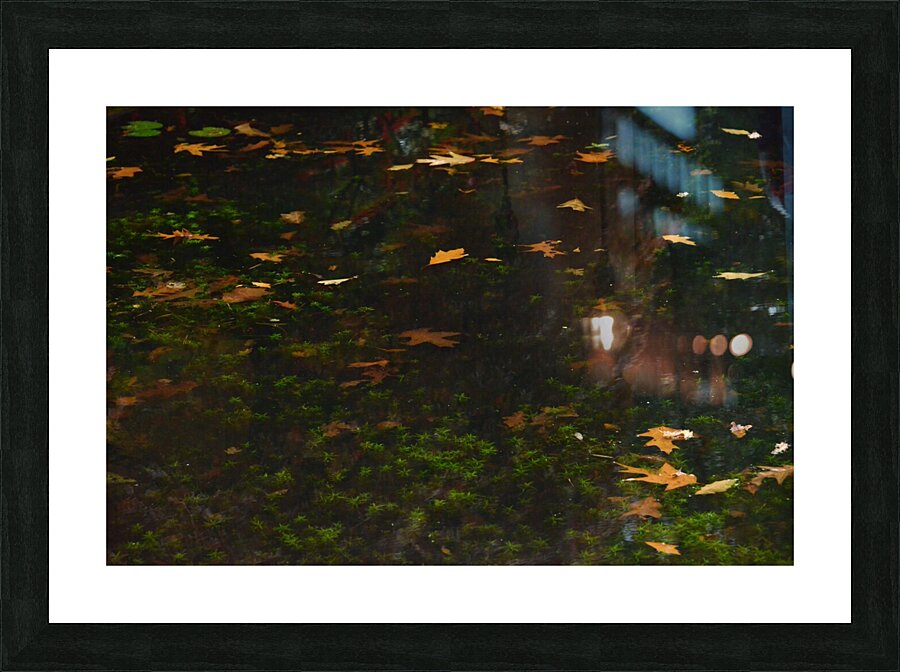 Untitled  4 Picture Frame print