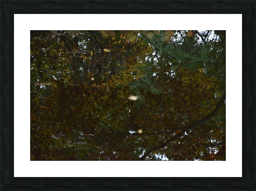 Untitled  6 Picture Frame print