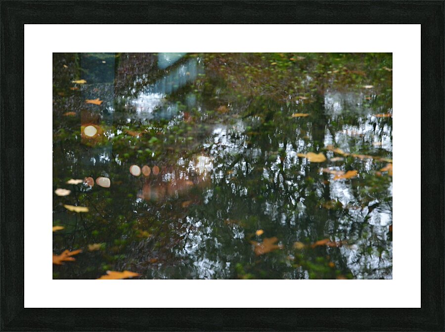 Untitled  1 Picture Frame print