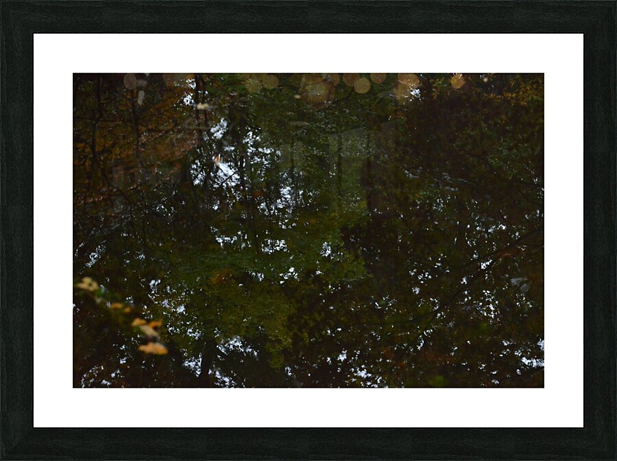 Untitled  5 Picture Frame print