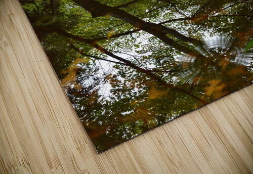 Untitled  2 Sander van Yperen puzzle
