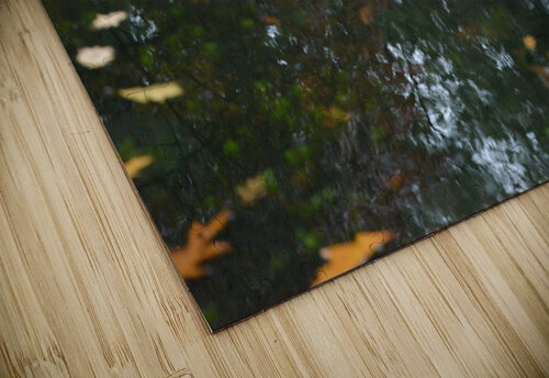 Untitled  1 Sander van Yperen puzzle