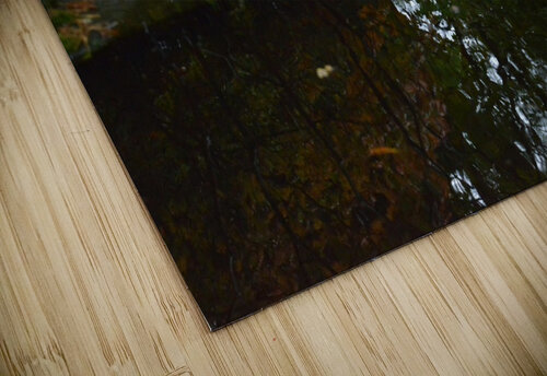 Untitled  3 Sander van Yperen puzzle