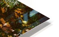 Untitled  2 HD Metal print