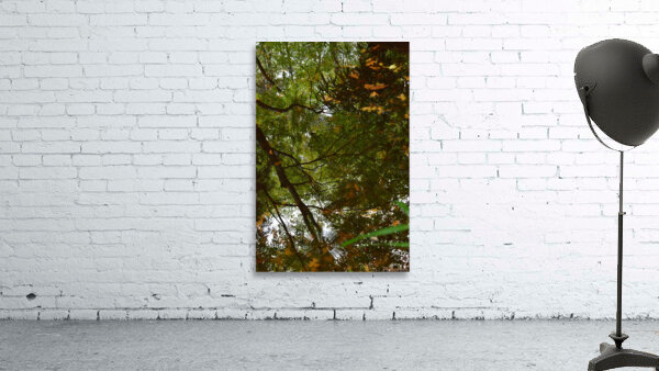 Untitled  2 Wall Preview