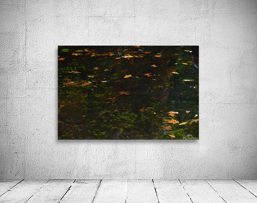 Untitled  4 Wall Preview