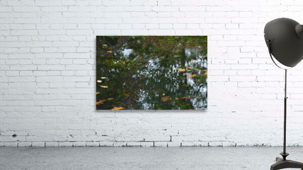 Untitled  1 Wall Preview