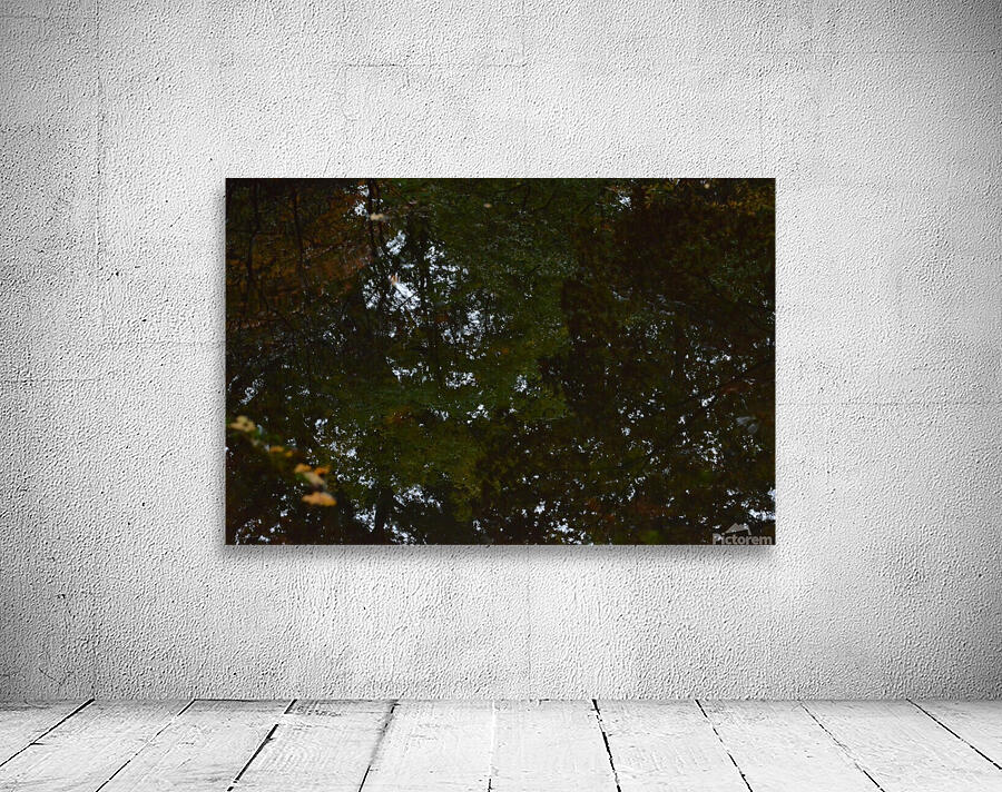 Untitled  5 Wall Preview