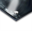 In the Presence of Majesty - Underwater Whale and Diver Art Prints Acrylic print