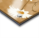 Wild Wild Daisies - Rustic Daisy Floral Art Prints Acrylic print