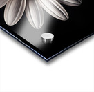 Beaute Impeccable - Impeccable Beauty - Pop Surreal Portrait Art Prints Acrylic print