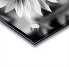 Petal Perspective 5 - Macro Floral Art Prints Acrylic print