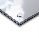 Helianthus Debilis - Botanical Sunflower Study Art Prints Acrylic print