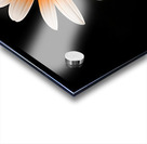 Whispers Of The Wild Daisy - Monochrome Floral Art Prints Acrylic print