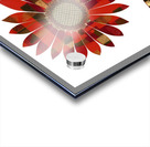 Plaid Botanica 22 - Contemporary Floral Art Prints Impression Acrylique