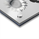 Sunflower Selfie 3 - Sunflower Portrait Art Prints Acrylic print