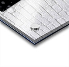 True Love - Swan Romance Art Prints Acrylic print