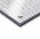 La Catrina Sonora - The Sonic Catrina - Dia de los Muertos Art Prints Acrylic print