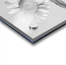 Sunflower Selfie 7 - Sunflower Portrait Art Prints Impression Acrylique