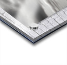 Hope In Contrast - Minimal Sunflower Art Prints Impression Acrylique