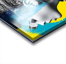 Punk Rock Originale - Punk Portrait Art Prints Impression Acrylique