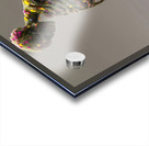 Decay In Bloom - Sculptural Botanical Art Prints Acrylic print