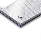 Plaid Botanica 29 - Modern Floral Art Prints Acrylic print