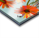 Champs De Lumiere - Fields Of Light - Modern Floral Art Prints Acrylic print