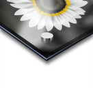 Sunflower Selfie 12 - Sunflower Portrait Art Prints Acrylic print