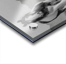 Born Of Dust And Light - Modern Abstract Art Prints Acrylic print