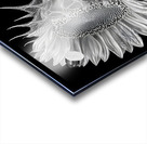 Sunflower Selfie 13 - Sunflower Portrait Art Prints Acrylic print