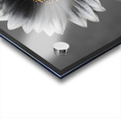 Sunflower Selfie 15 - Sunflower Portrait Art Prints Acrylic print