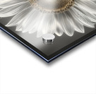 Sunflower Selfie 23 - Sunflower Portrait Art Prints Acrylic print