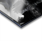 The Mirror Of Solitude - Monochrome Landscape Art Prints Impression Acrylique