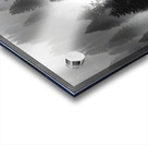 Misty Pine Hillside - Monochrome Landscape Art Prints Acrylic print