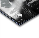 Reflections Of The Wild - Monochrome Landscape Art Prints Acrylic print