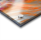 Ojos De Cielo - Eyes Of Heaven - Surreal Eye Art Prints Acrylic print