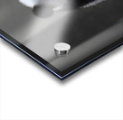 Stealth Mode - Bear Portrait Art Prints Acrylic print