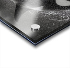 Ambush - Orca Wildlife Art Prints Impression Acrylique