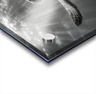 The Slow Path – Minimal Monochrome Art Print Acrylic print