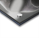 Legacy - Monochrome Symbolic Art Prints Acrylic print