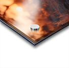 The Gaze – Wildlife Portrait Art Print Impression Acrylique