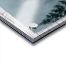 Forest Sentinel – Wildlife Landscape Art Print Acrylic print