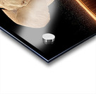 Golden Stillness – Elephant Reflection Print Acrylic print