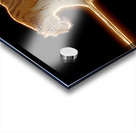 Golden Monarch – Tiger Reflection Print Impression Acrylique