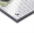 Against the Parisian Wind – Vintage Fashion Art Print Acrylic print