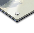 Abstract Portrait in Primary Hues – Women’s Portrait Art Print Acrylic print